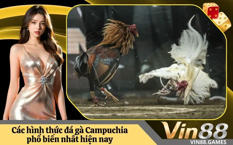 Các hình thức đá gà Campuchia phổ biến nhất hiện nay