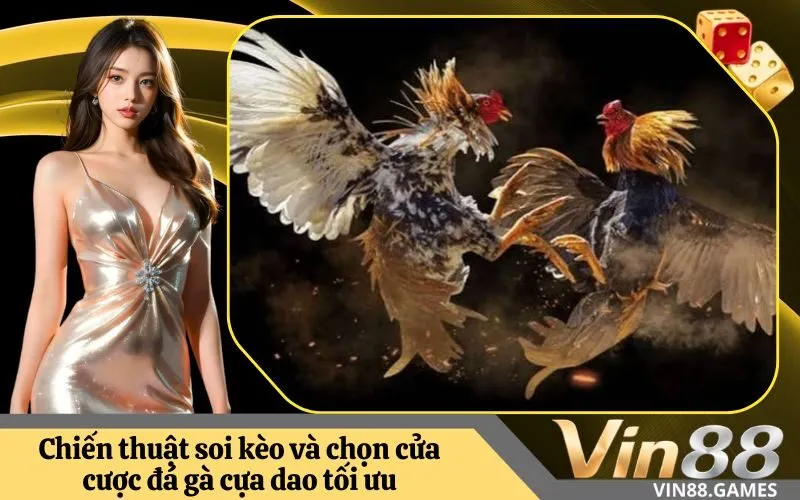 Chiến thuật soi kèo và chọn cửa cược đá gà cựa dao tối ưu