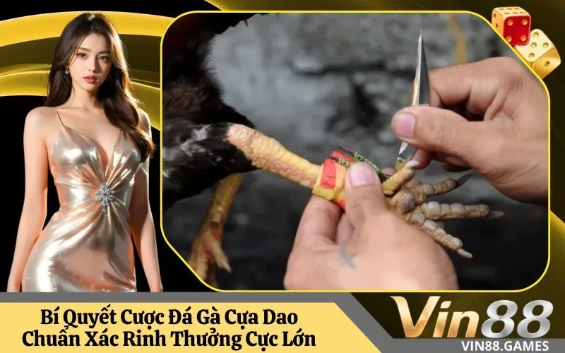 Đá Gà Cựa Dao