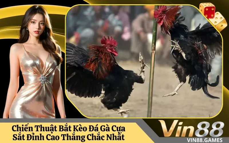 Đá Gà Cựa Sắt