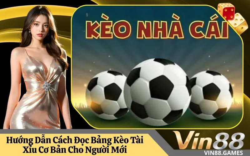 Hướng Dẫn Cách Đọc Bảng Kèo Tài Xỉu Cơ Bản Cho Người Mới