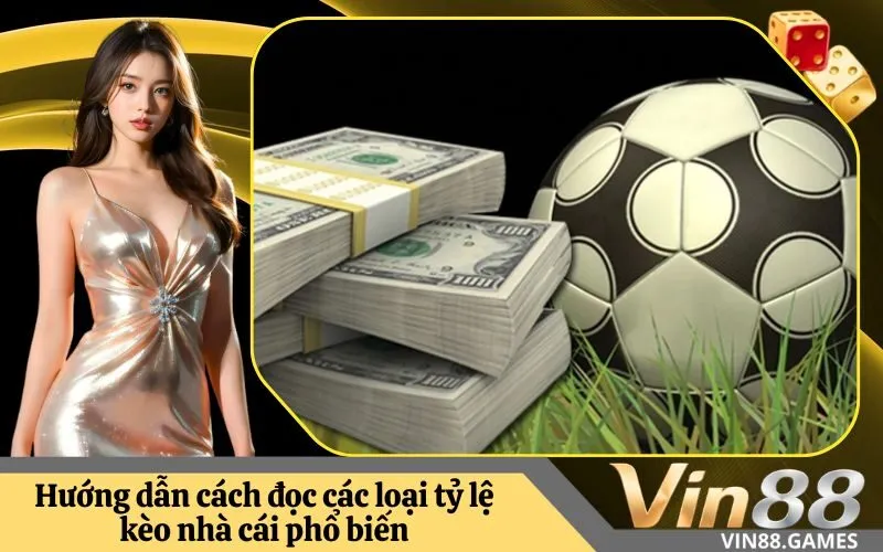 Hướng dẫn cách đọc các loại tỷ lệ kèo nhà cái phổ biến