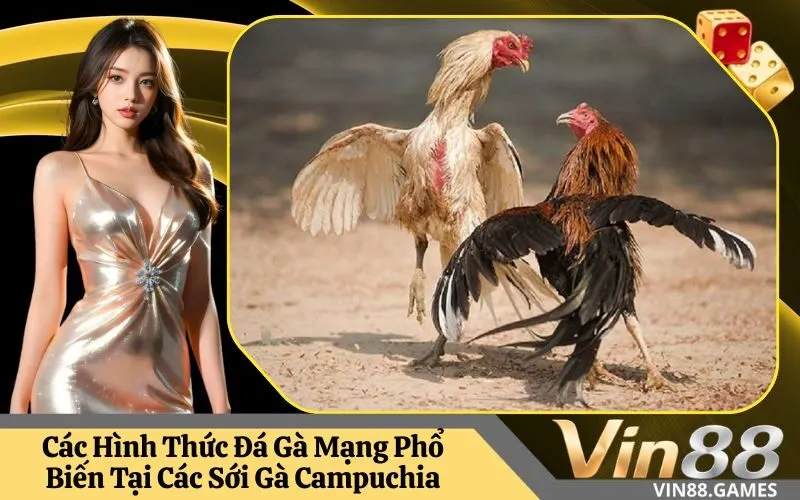 Các Hình Thức Đá Gà Mạng Phổ Biến Tại Các Sới Gà Campuchia
