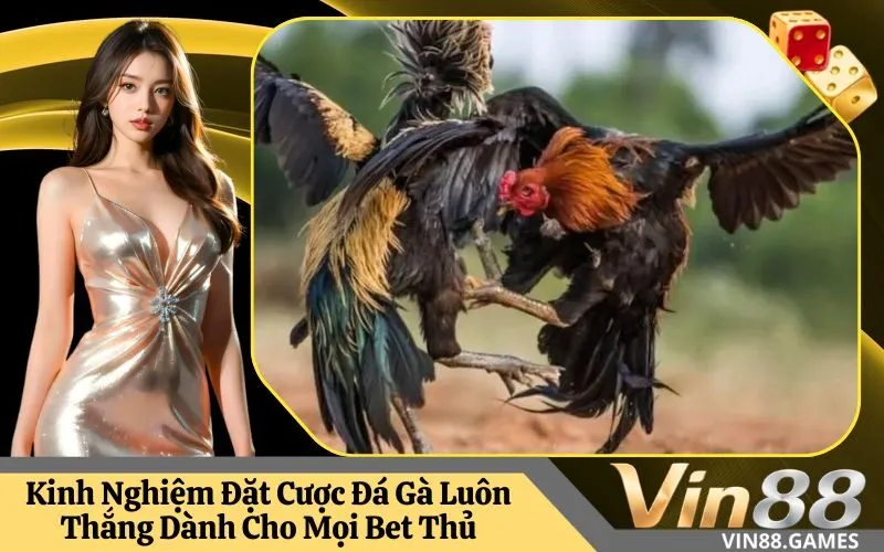 Cược Đá Gà