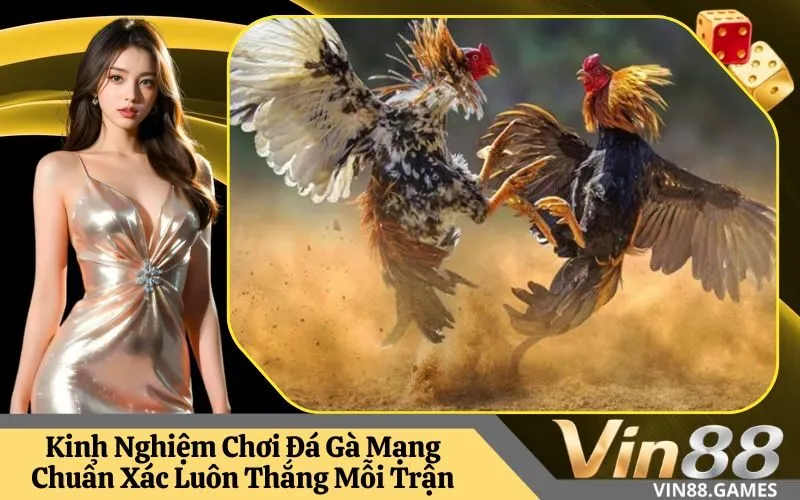 Đá Gà Mạng