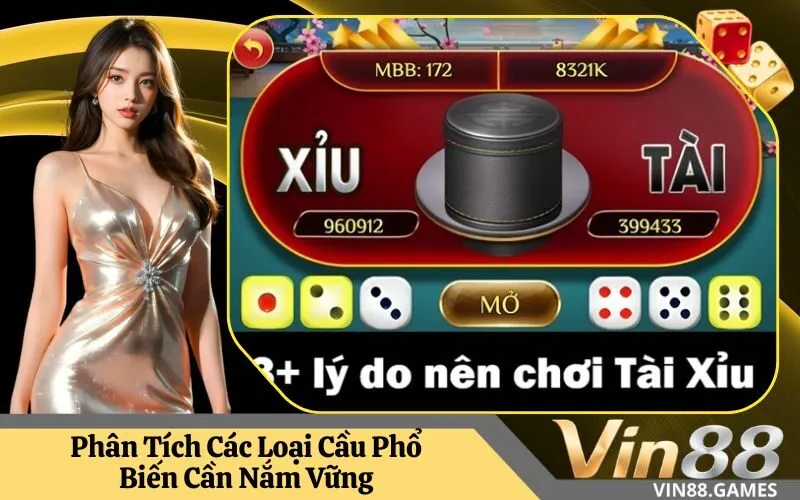 Phân Tích Các Loại Cầu Phổ Biến Cần Nắm Vững